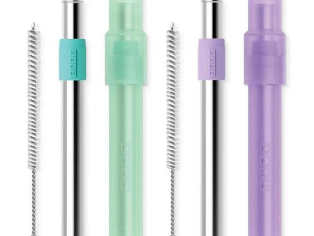 ZOKU Stainless Steel Reusable Bubble Tea Pocket Straw 2 Set Combo (Purple, Teal)  Fixed Size For Cheap